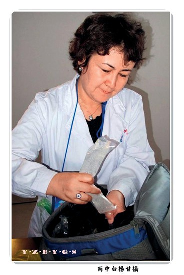 2013年喀什地区莎车县，为了评估实施国家“营养改善计划”的中小学生的营养状况，采集的生物标本（血、尿等）装入冷藏包，待会实验室检验的过程.jpg