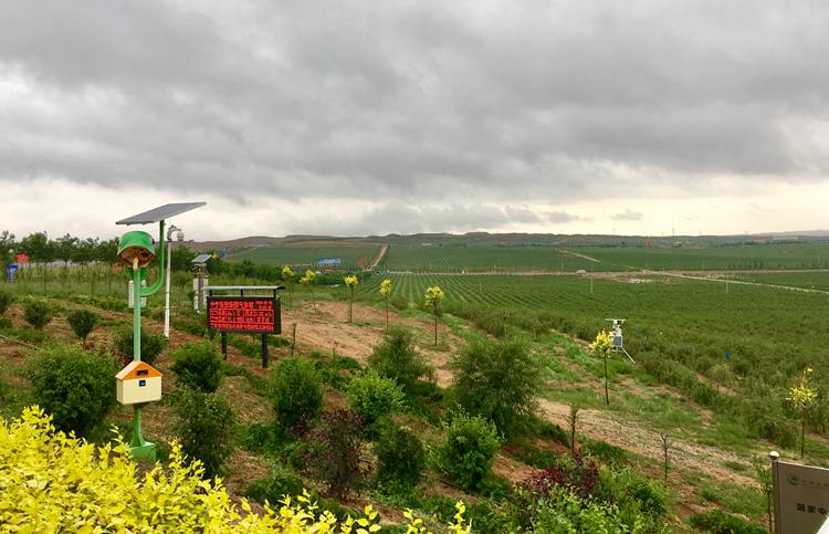 19-玺赞庄园20190625 022.JPG