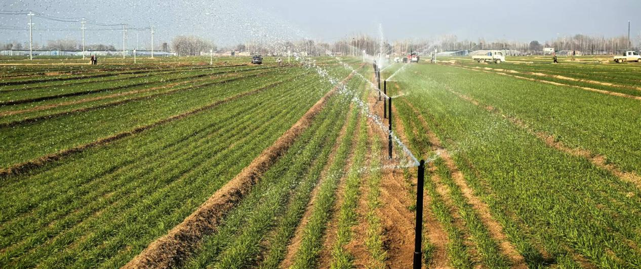 微信图片_20250314220413.png 微信图片_20250314220413.png