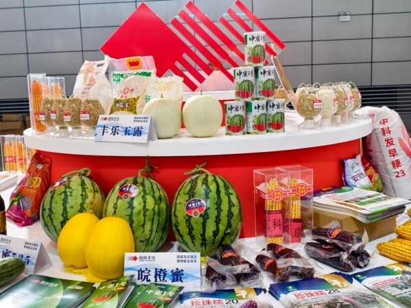 1_副本.jpg